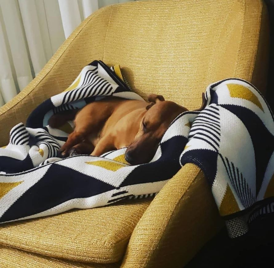Envie Throw Blanket by Seek & Swoon